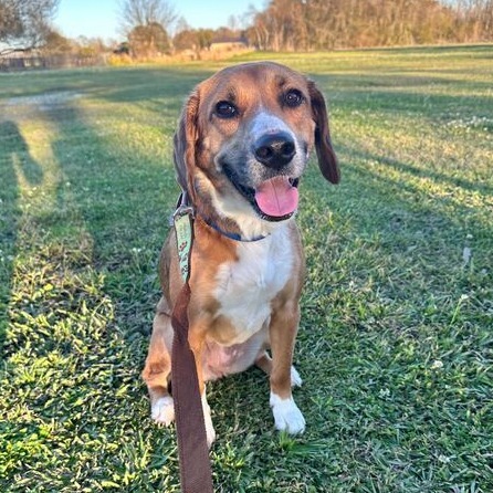 Penny
