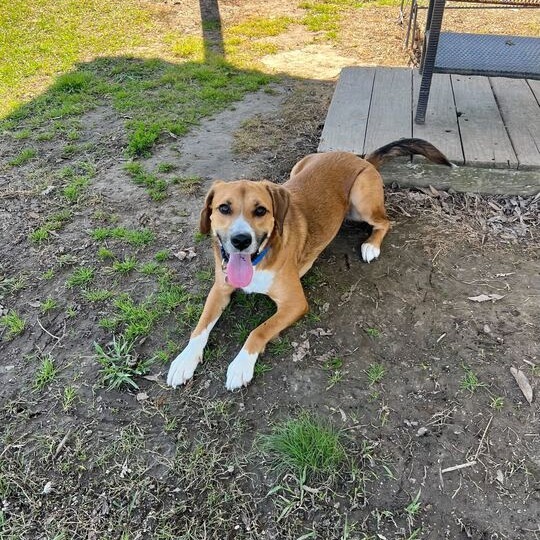 Penny
