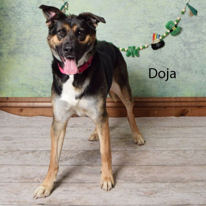 Doja 1