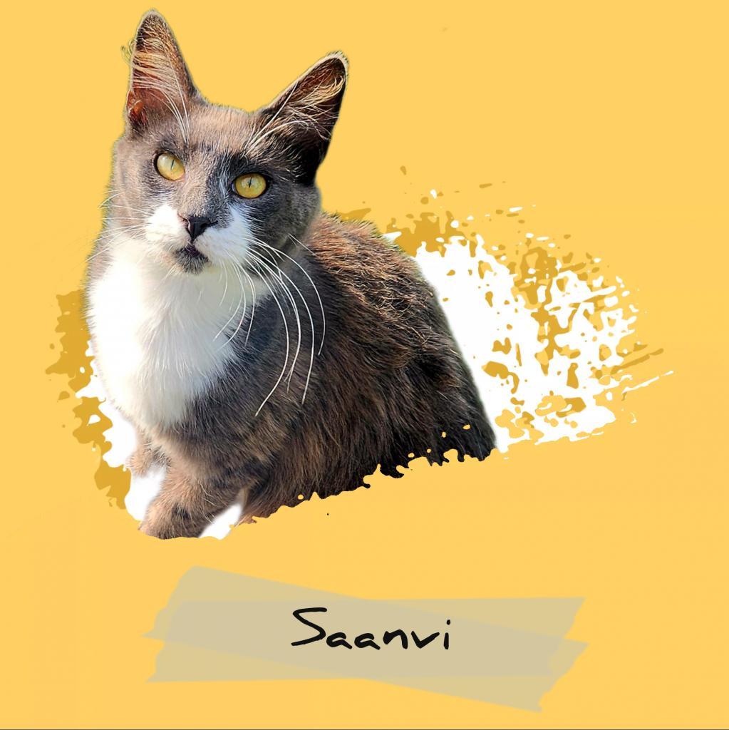 Saanvi