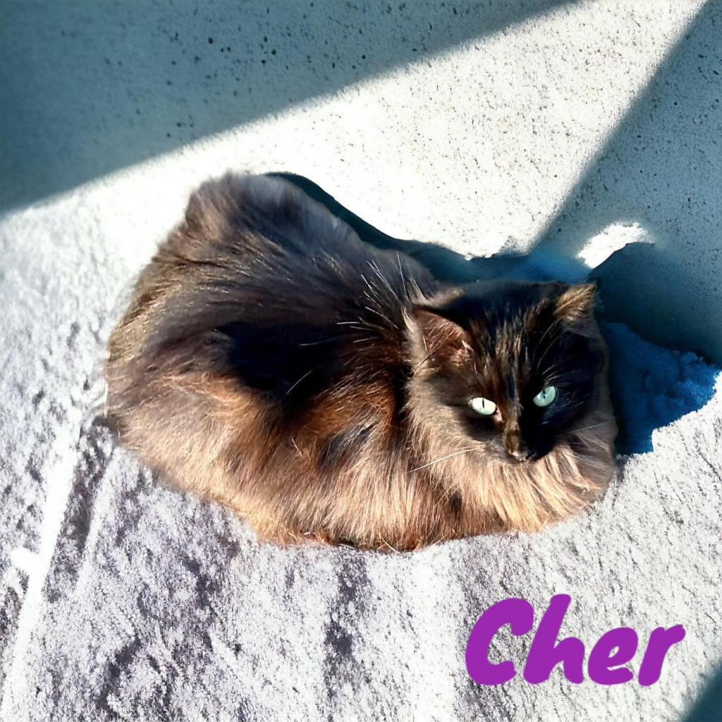 Cher