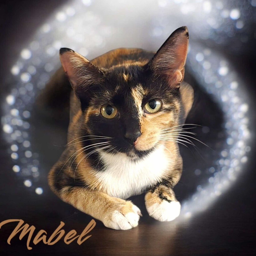 Mabel