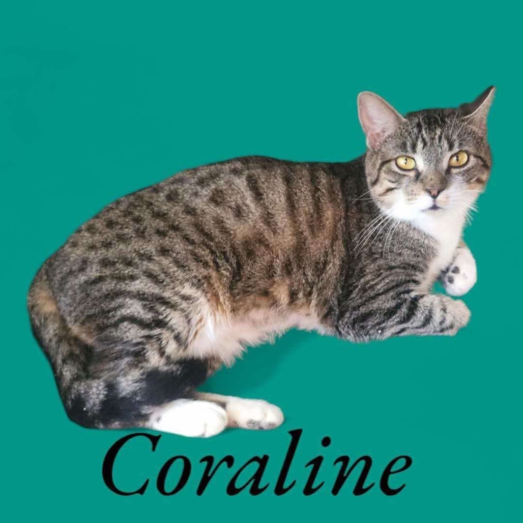 Coraline
