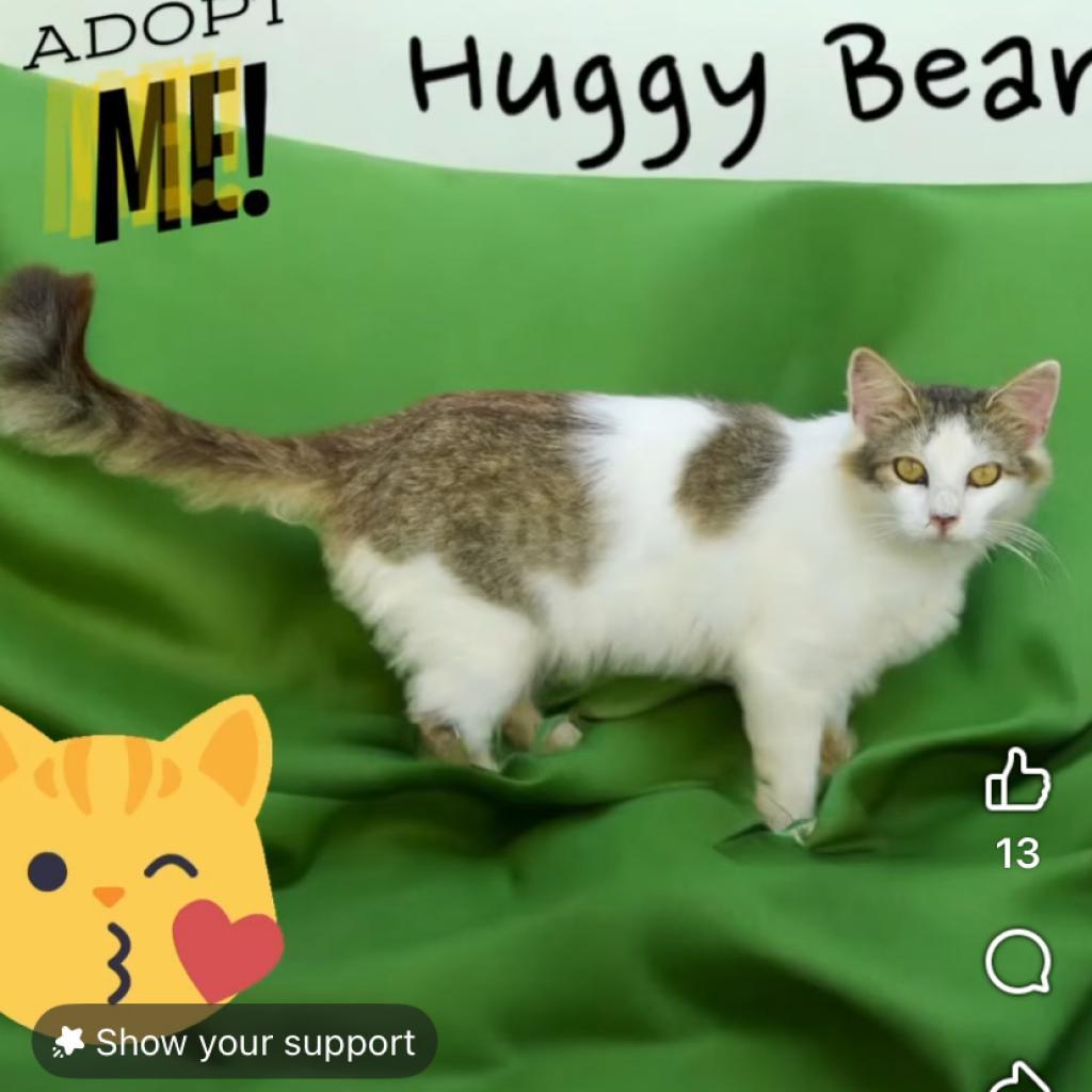 Huggy Bear