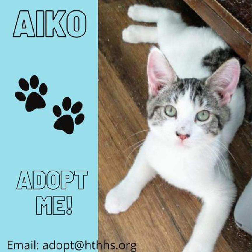 Aiko