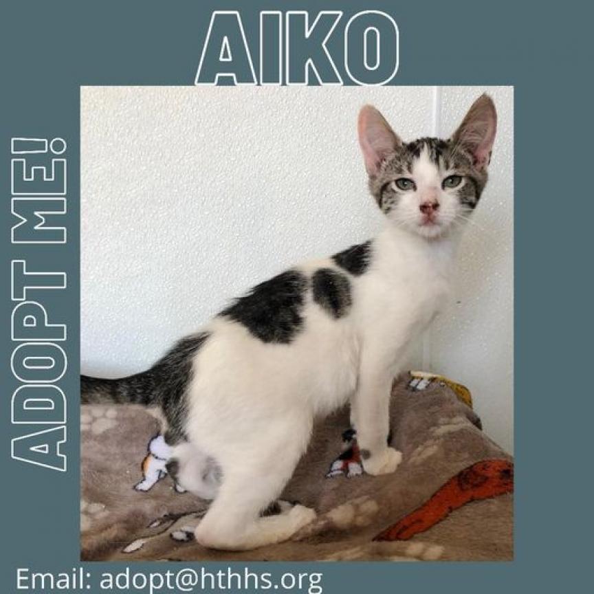 Aiko