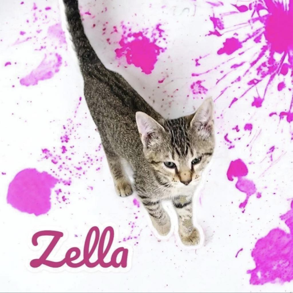 Zella