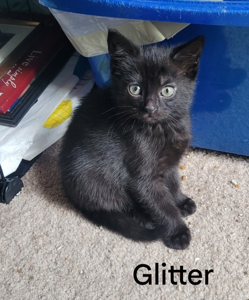 Glitter