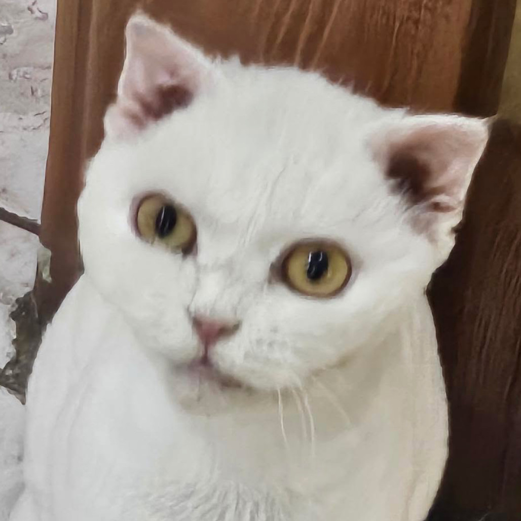 Luanne (Lulu) Kuwait
