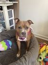 Amy photo 1