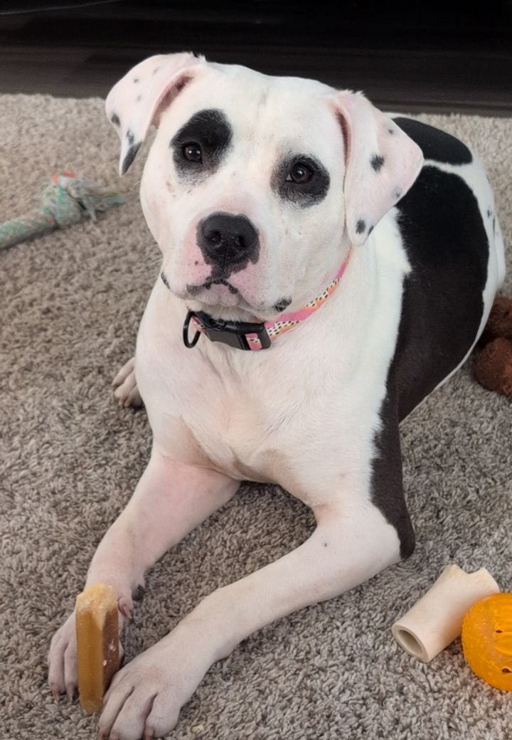 Nala 5