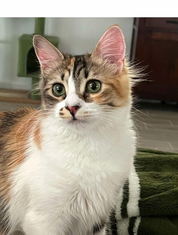 Mimzy