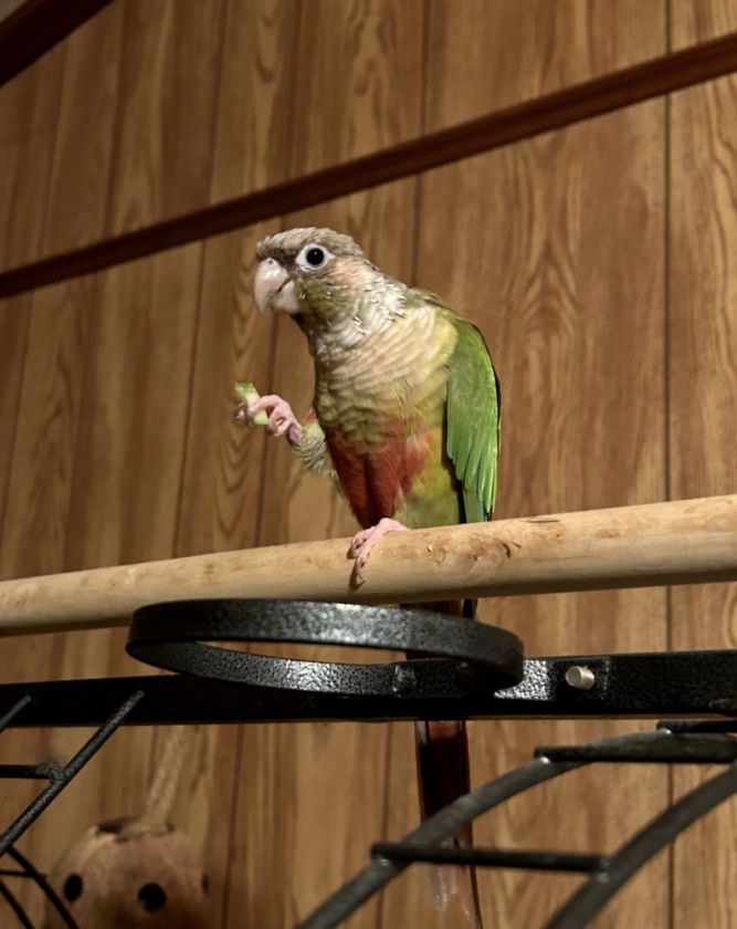 Sal