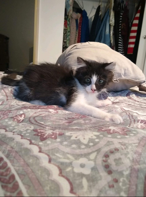 Sabrina