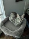 Taco Belle photo 5