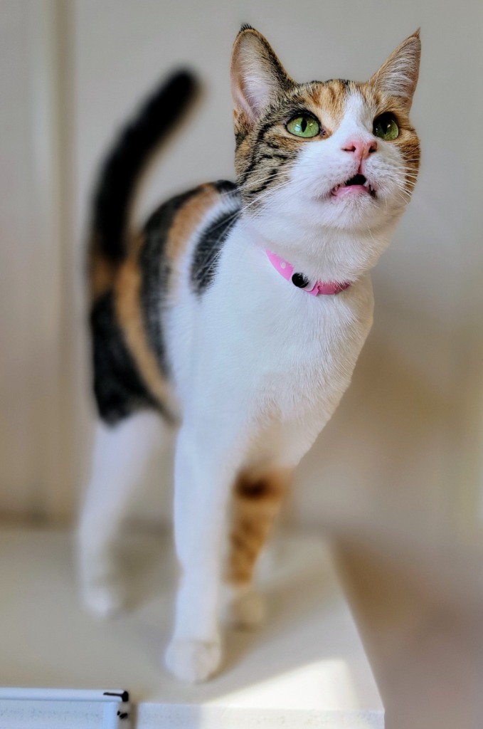 Marie