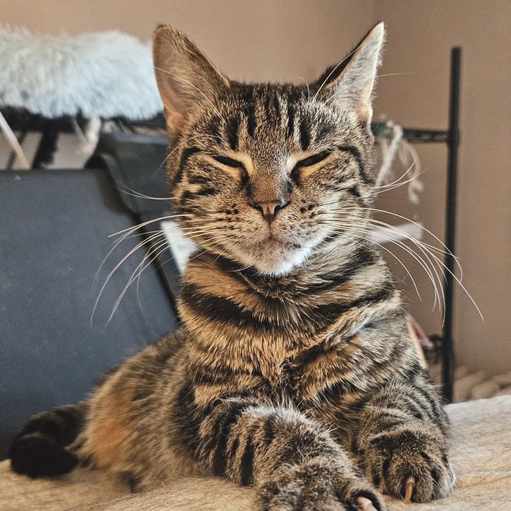 Juliette