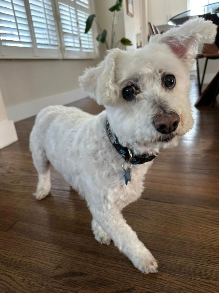 Pete 1