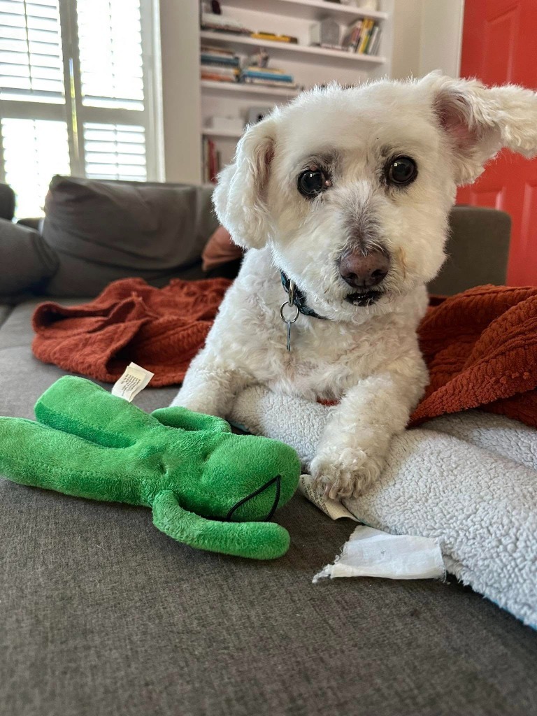 Pete