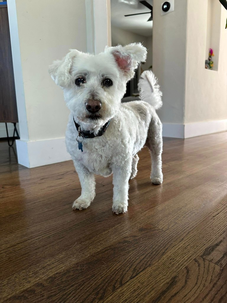 Pete