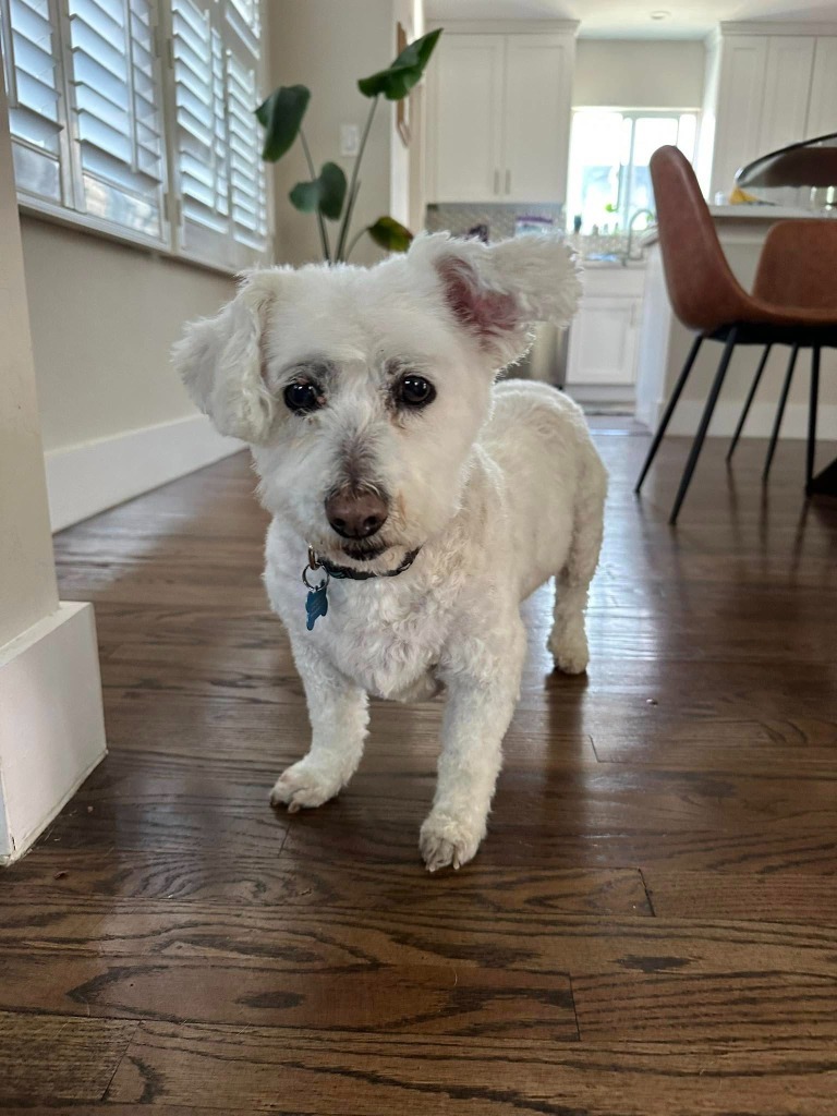 Pete