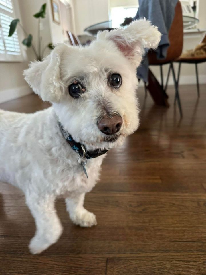 Pete 5