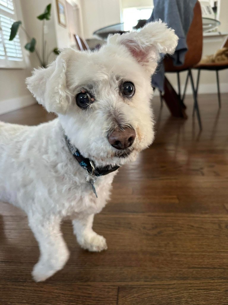 Pete
