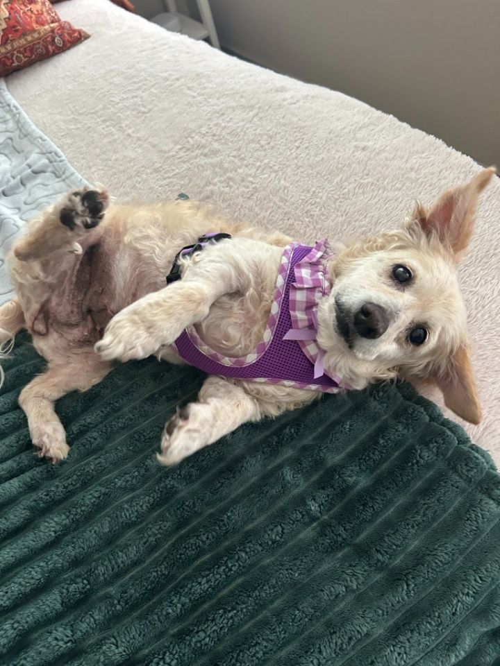 Millie 5