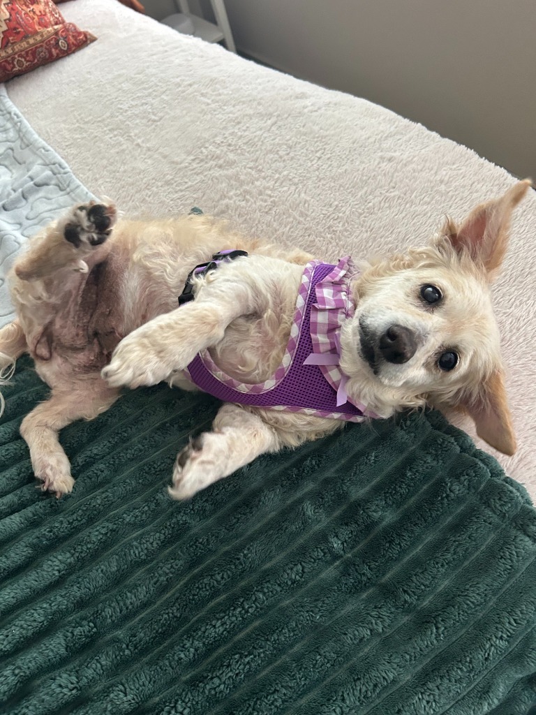 Millie