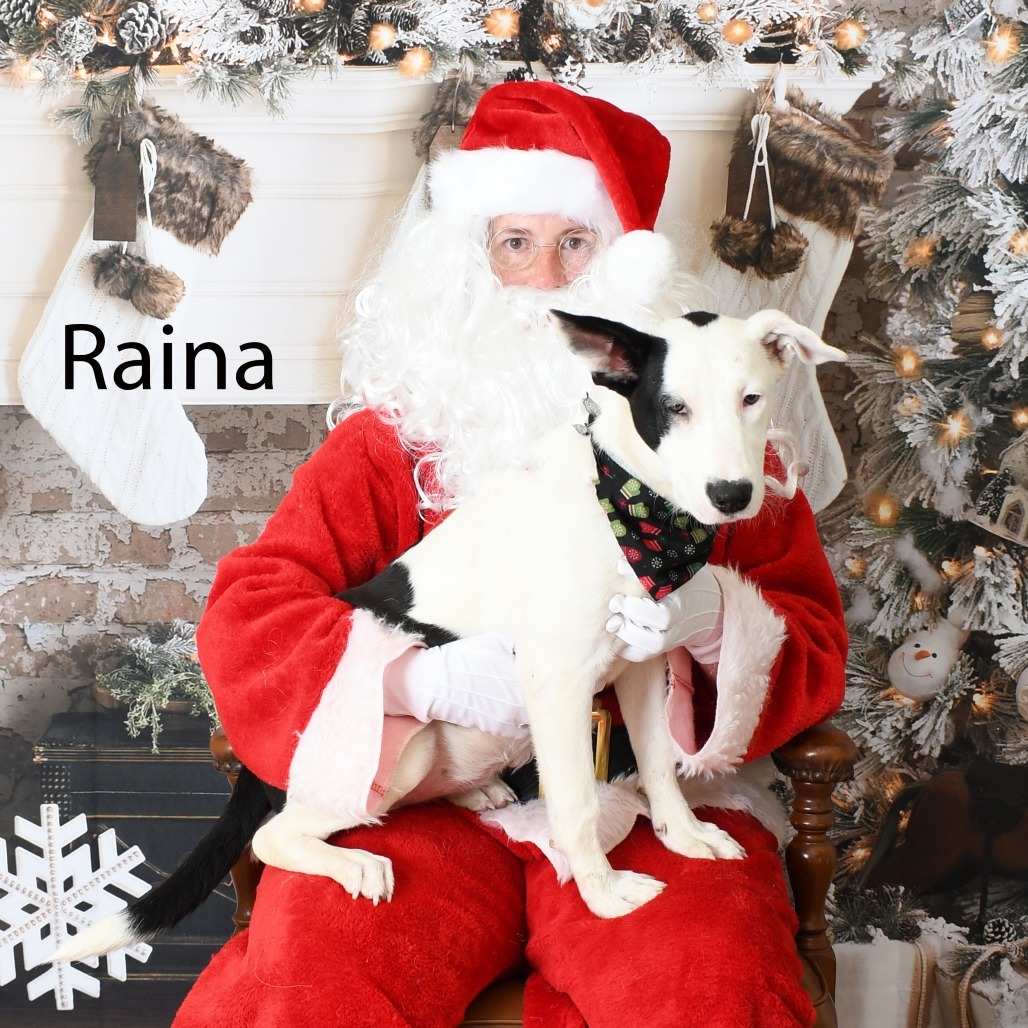 Raina