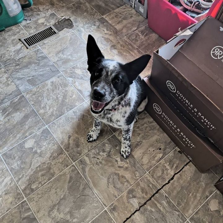 Maisy 3