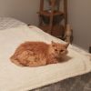 Wyatt photo 2