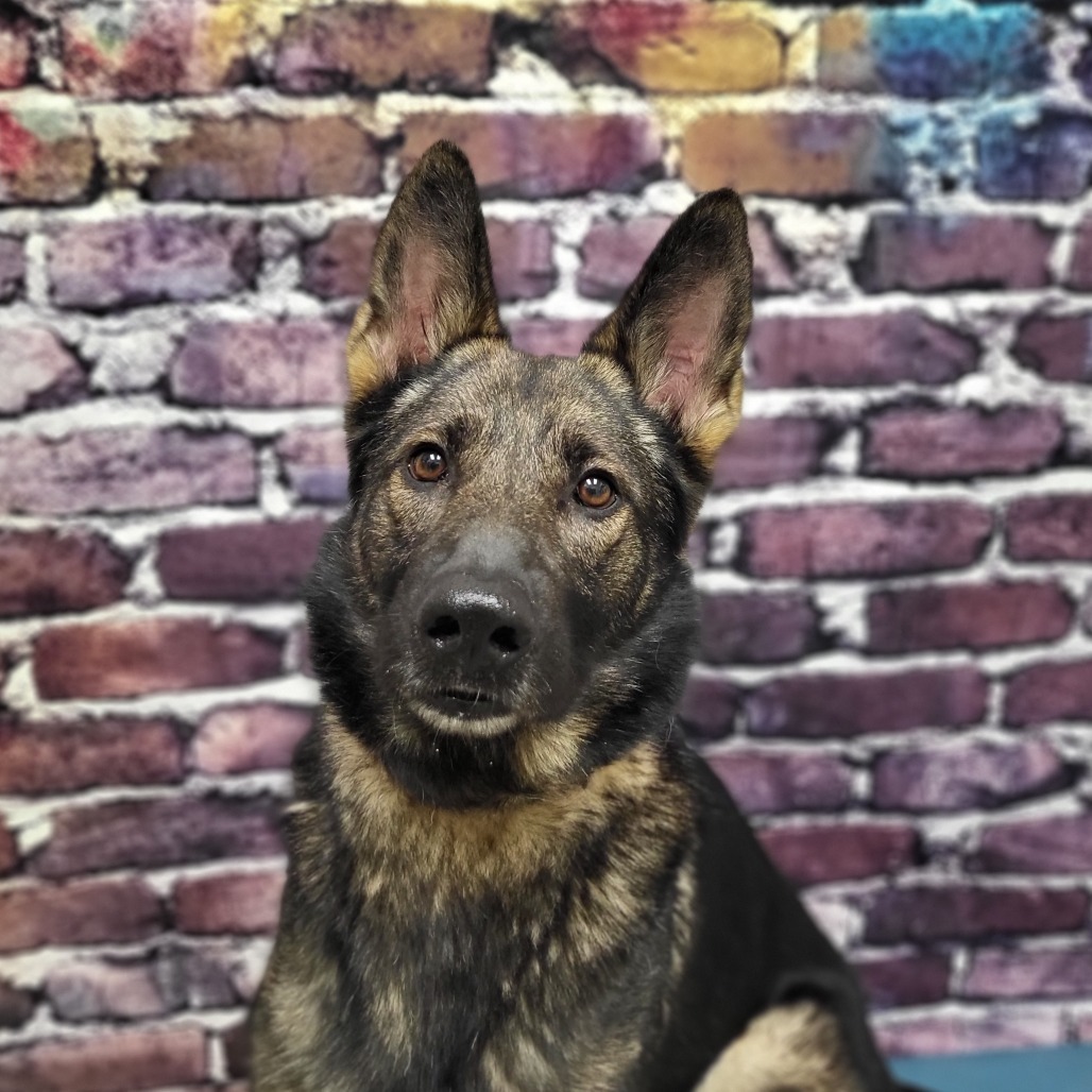 Diesel
