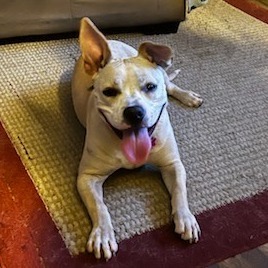 Nalla