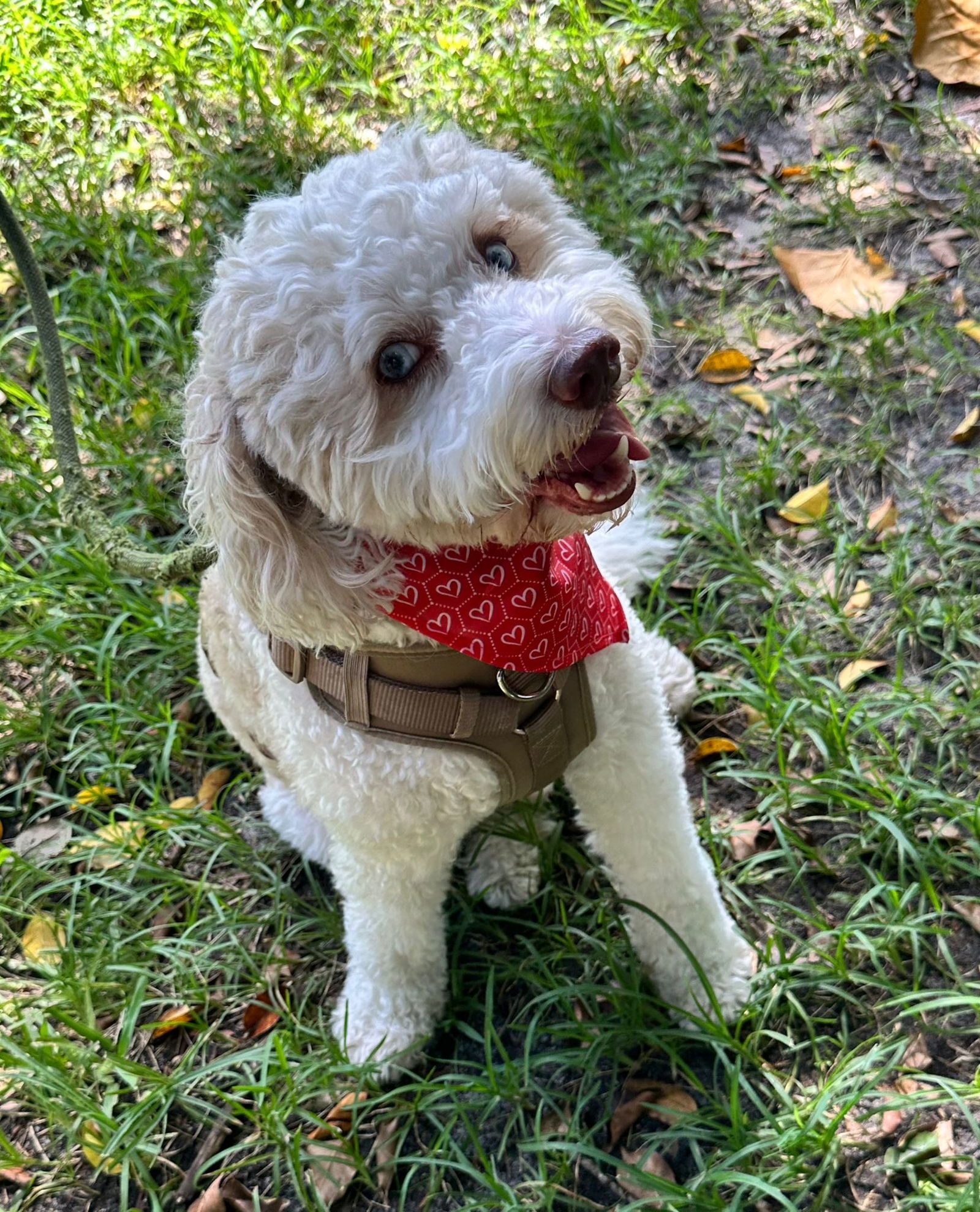 TOBIAS