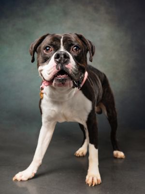 Im Berney and they say I am a high positive for heartworms The people at FCAS were really worried 