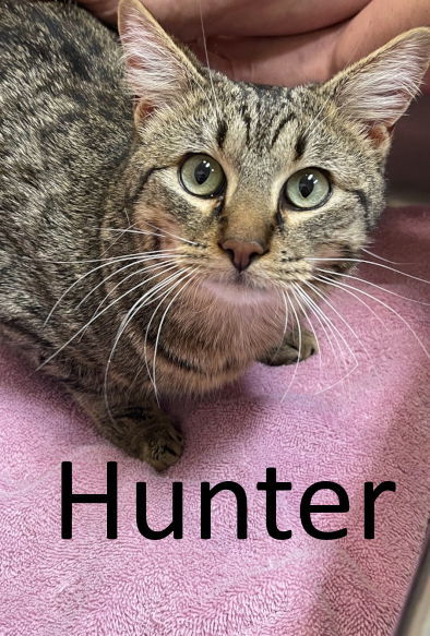 Hunter