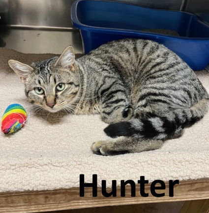 Hunter