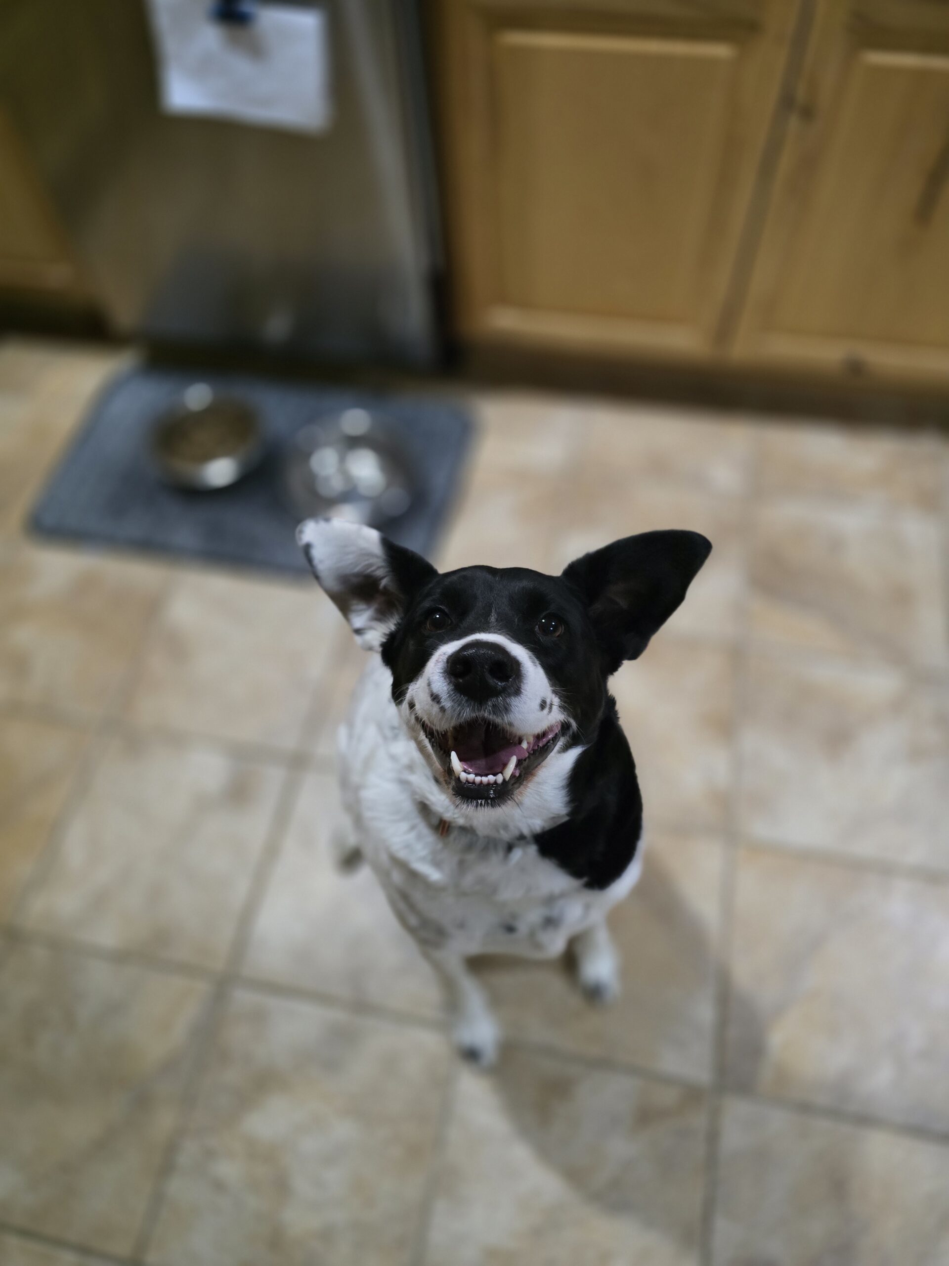 Bella