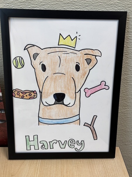 Harvey