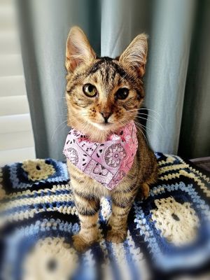 Eve (Bonded with Margot), Baby Female unknown