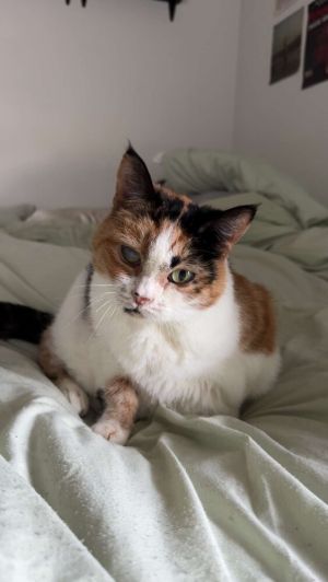 Jackie, Senior Female unknown