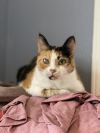 Jackie photo 4