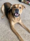 Jax photo 3
