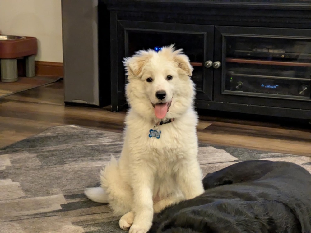 Slider (Baseball Litter '25)