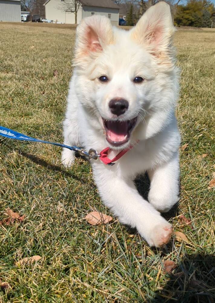 Slider (Baseball Litter '25)