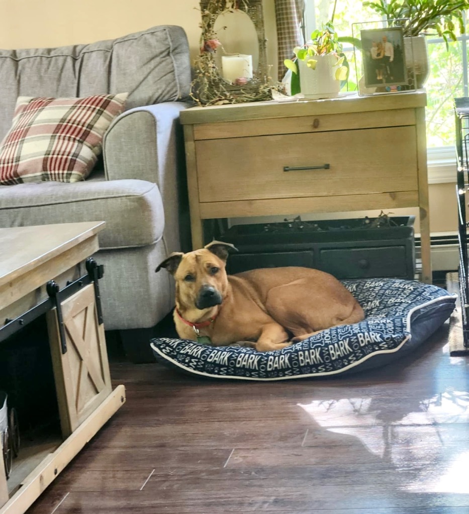 Nugget - LOCAL Photo