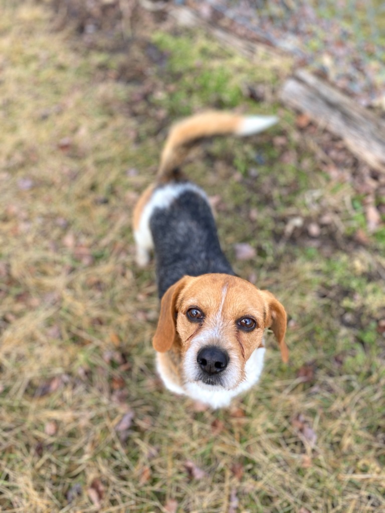 Pete