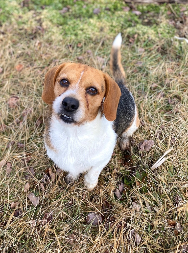 Pete