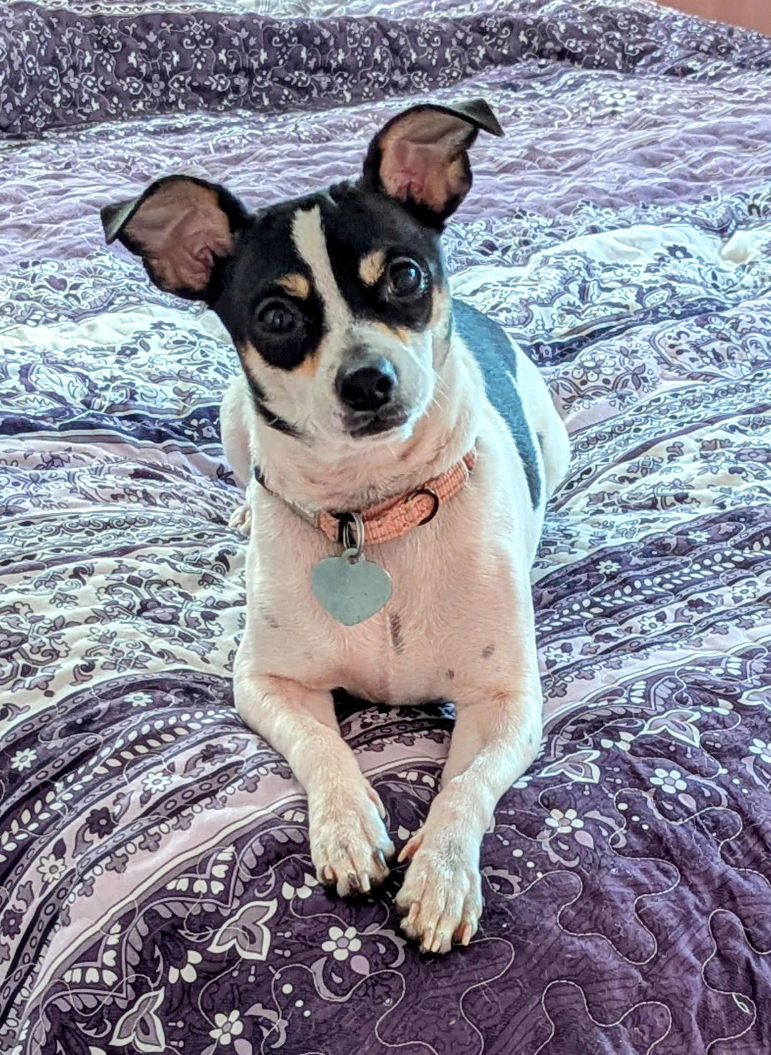 Birdie - Beautiful Lady!